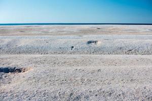 shell beach in west australia photo