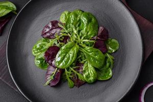 Delicious fresh salad consisting of spinach, chard, radicchio and red chart photo