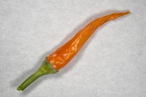 chili cayenne pepper photo