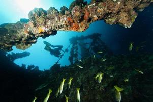 A scuba diver silhouette over Umbria Wreck in Red Sea photo