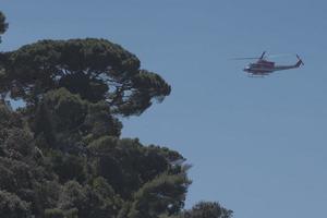 Helicopter near maritime pine photo