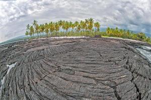 big island hawaii lava and sea and palm trees photo