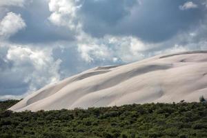 australia sand dunes into the bush photo