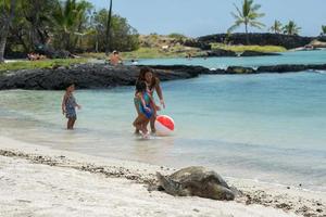 HONOLULU, USA - AUGUST, 14 2014 - People having fun at hawaii beach photo