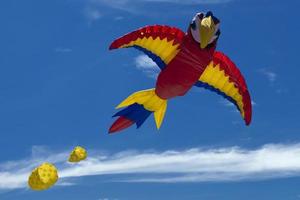 Parrot kite on the sky background photo