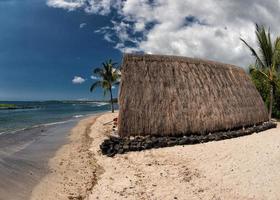 hawaiian hut on the beach photo