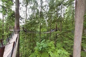 capilano suspensión puente parque en Vancouver foto