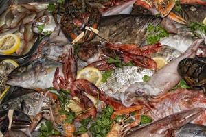 restaurant fresh sea food on display stand photo