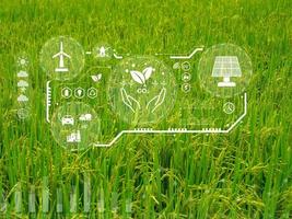 concepto ambiental tecnología eco tecnología conectando verde tecnología verde antecedentes en un virtual ventana en un verde arroz campo siendo desplegado en holograma formato foto