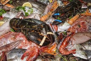 restaurant fresh sea food on display stand photo