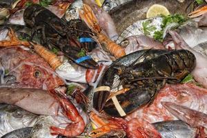 restaurant fresh sea food on display stand photo