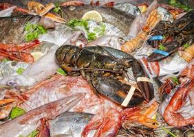 restaurant fresh sea food on display stand photo