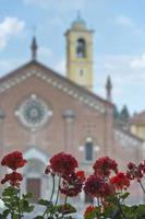 red flowers on medieval church background photo