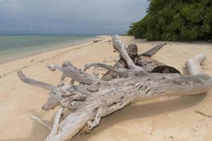 Malasia sipadan isla cristal agua arena apuntalar foto