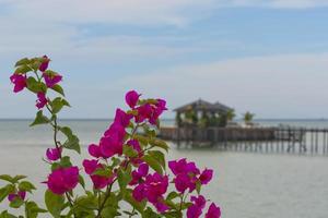 Kapalai Resort view Turquoise Tropical Paradise Crystal Water Borneo Indonesia photo