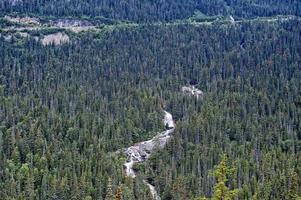 British Columbia white pass panorama photo