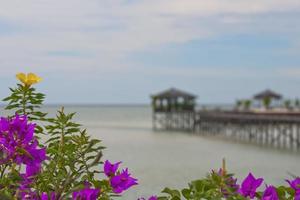 Kapalai Resort view Turquoise Tropical Paradise Crystal Water Borneo Indonesia photo