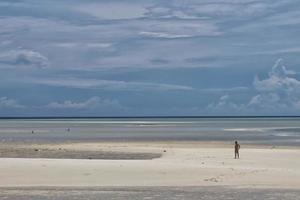 urquoise Tropical Polynesian Paradise photo