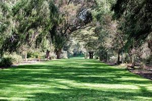 perth botanic gardens west australia photo