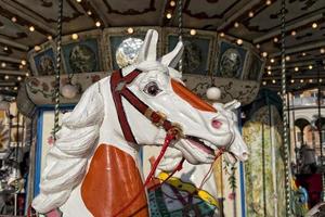 old carousel horse photo