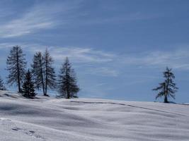 isolated pine tree silhouette on snow in mountains photo