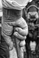 old farmer hand holding a stick in black and white photo