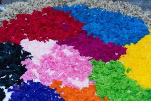 petal and flower carpet for corpus domini christi celebration photo