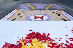 alfombra de pétalos y flores para la celebración del corpus domini christi foto