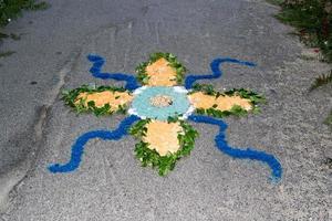 petal and flower carpet for corpus domini christi celebration photo