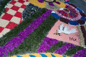 petal and flower carpet for corpus domini christi celebration photo