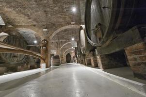 Old Wine Cellar with barrels photo