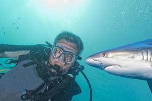 selfie bajo el agua con un tiburón gris listo para atacar foto