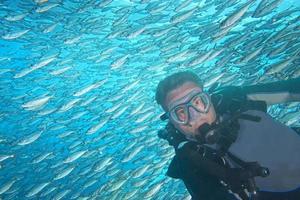 Inside a school of fish underwater photo