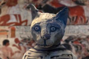 Gato momia egipcio encontrado dentro de la tumba foto