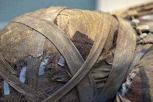 egypt mummy head close up photo