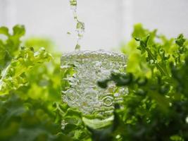 A glass of water covered with green vegetables that glows down. health care Cleanliness and safety for consumption photo