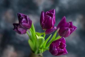 ramo de flores de tulipanes para el día festivo. De las mujeres día, San Valentín día, nombre día. en un oscuro antecedentes con reflexión. foto