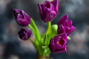 ramo de flores de tulipanes para el día festivo. De las mujeres día, San Valentín día, nombre día. en un oscuro antecedentes con reflexión. foto