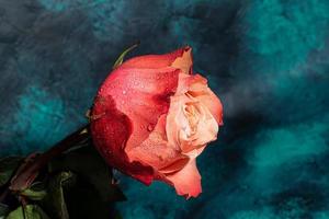 ramo de flores de rosas para el día festivo. De las mujeres día, San Valentín día, nombre día. en un oscuro antecedentes. foto