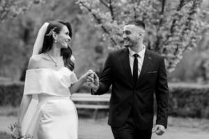 newlyweds walk in the park among cherry blossoms photo