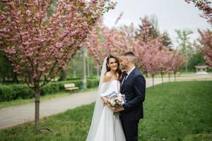 newlyweds walk in the park among cherry blossoms photo