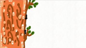 carino koala cartone animato animazione dietro a un' albero video