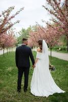 recién casados caminar en el parque entre Cereza flores foto