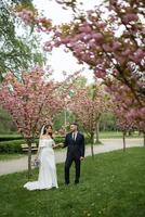 recién casados caminar en el parque entre Cereza flores