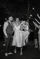 newlyweds at a wedding of sparklers photo