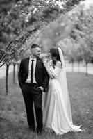 newlyweds walk in the park among cherry blossoms photo