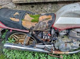 abandoned bike with moss on saddle photo