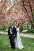 recién casados caminar en el parque entre Cereza flores