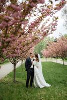 newlyweds walk in the park among cherry blossoms photo