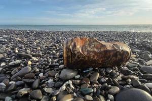 rusted can on the beach photo